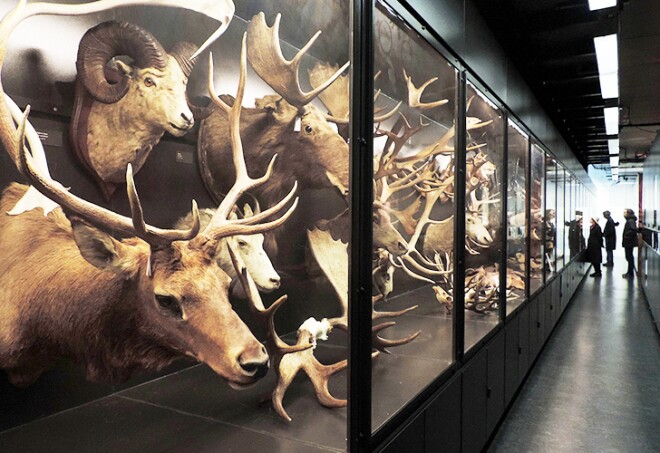 biodiverse