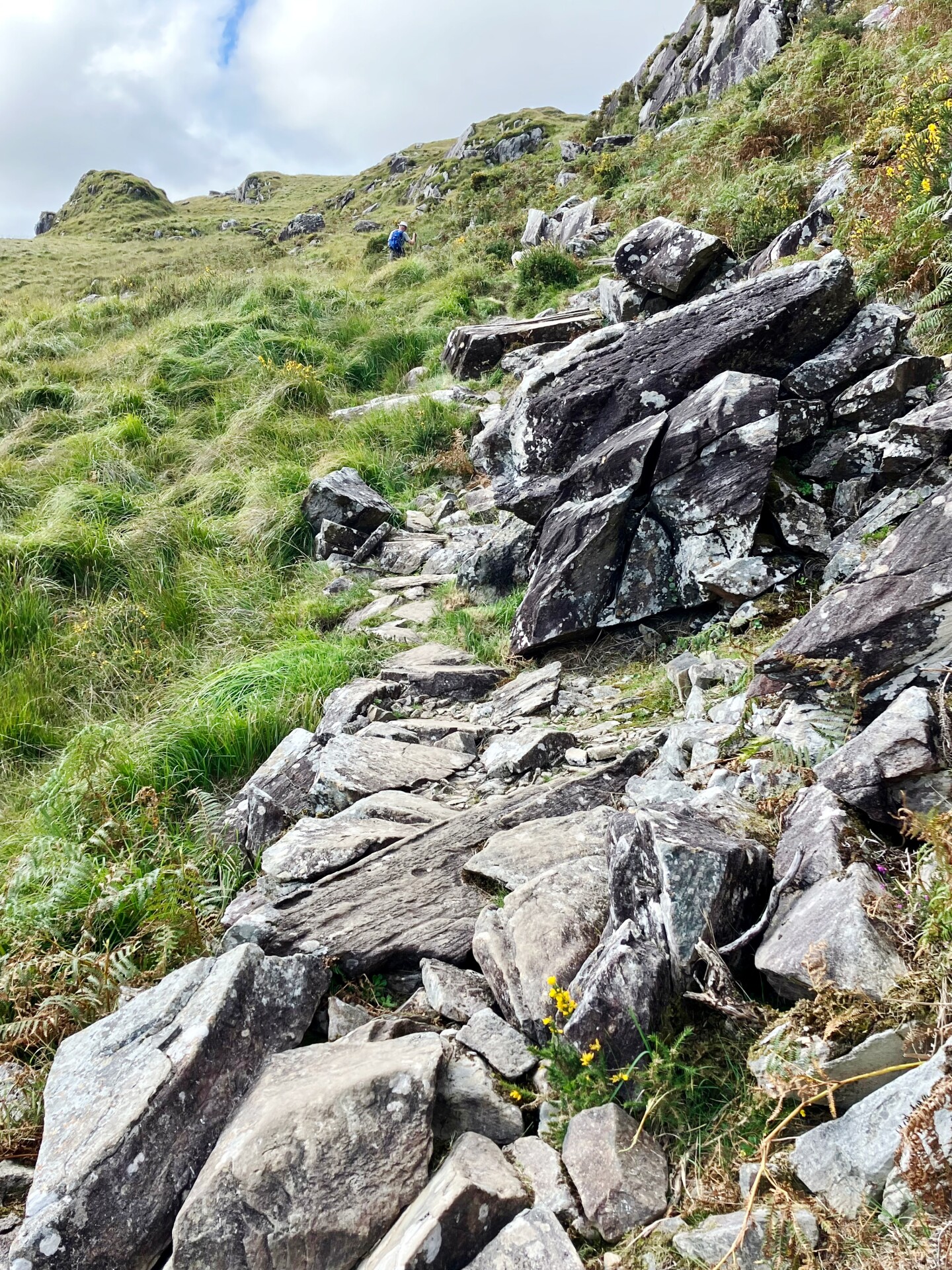 Steep boulder-strewn trail, looking up green hillside