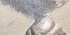 a608355e2eb91015f86cf1b20de1a871.jpg