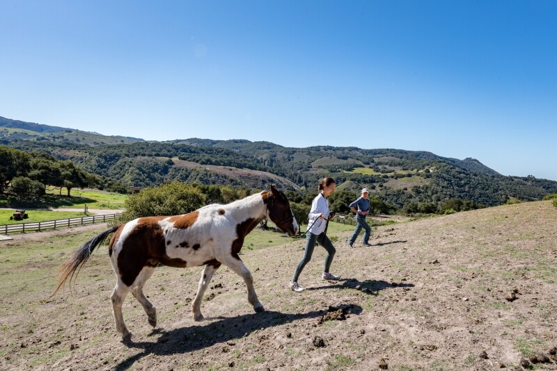 The author participates in the equine connection program at Carmel Valley Ranch.