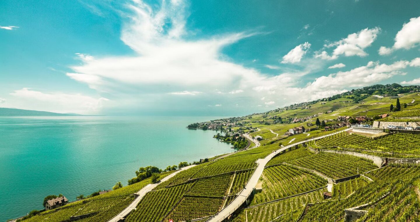 Green Fields by the sea