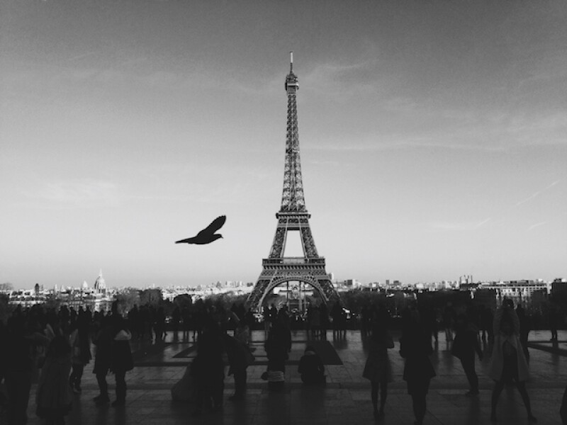 Paris is one of Harmon's favorite cities.