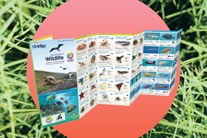 A field guide will help you spot wildlife during your trip.