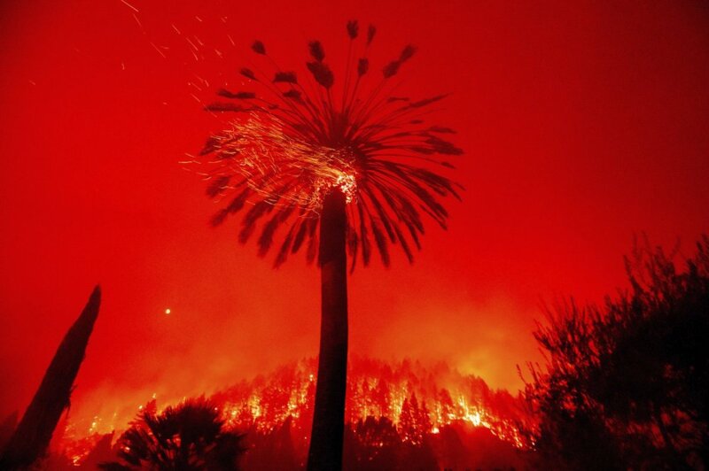 Embers fly from a tree as the Glass Fire burns in St. Helena, California.