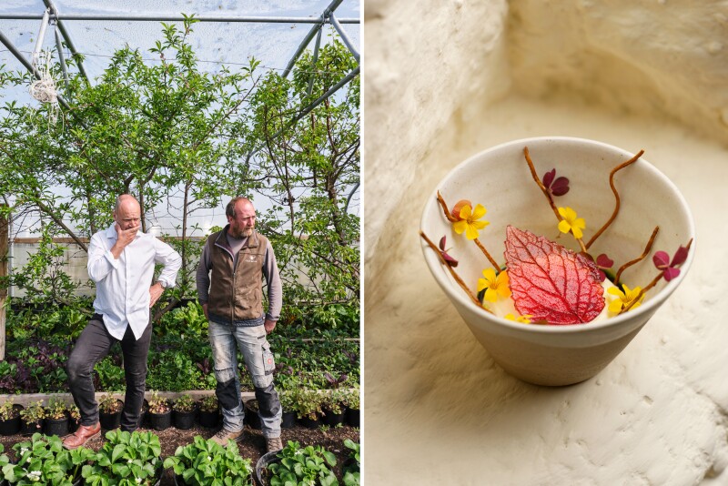 Cartmel_Lenclume-Farm.jpg