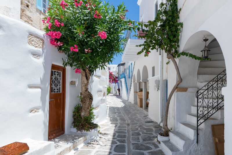 Alley in Mykonos, with whitewashed buildings, pink flowers, and stone walkway