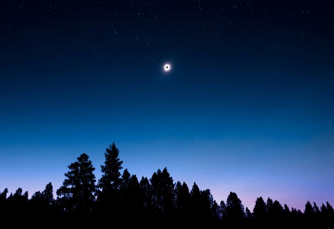 A 'ring of fire' solar eclipse with the sun still visible behind the moon in a darkened sky with trees down below
