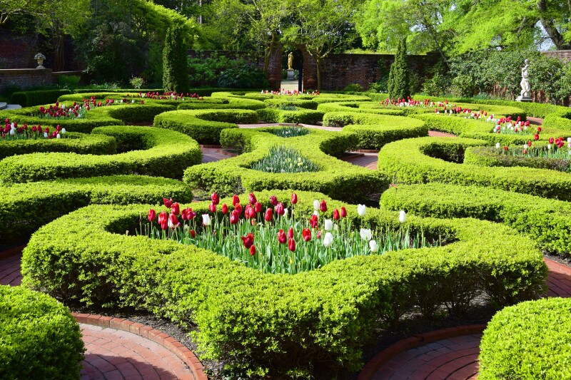 When the Brits still occupied North Carolina in the 1770s, these gardens was a place of respite for Governor Tryon.