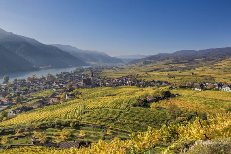Weingut Rudi Pichler cultivates 37 acres of vineyard in the UNESCO-listed Wachau Valley.