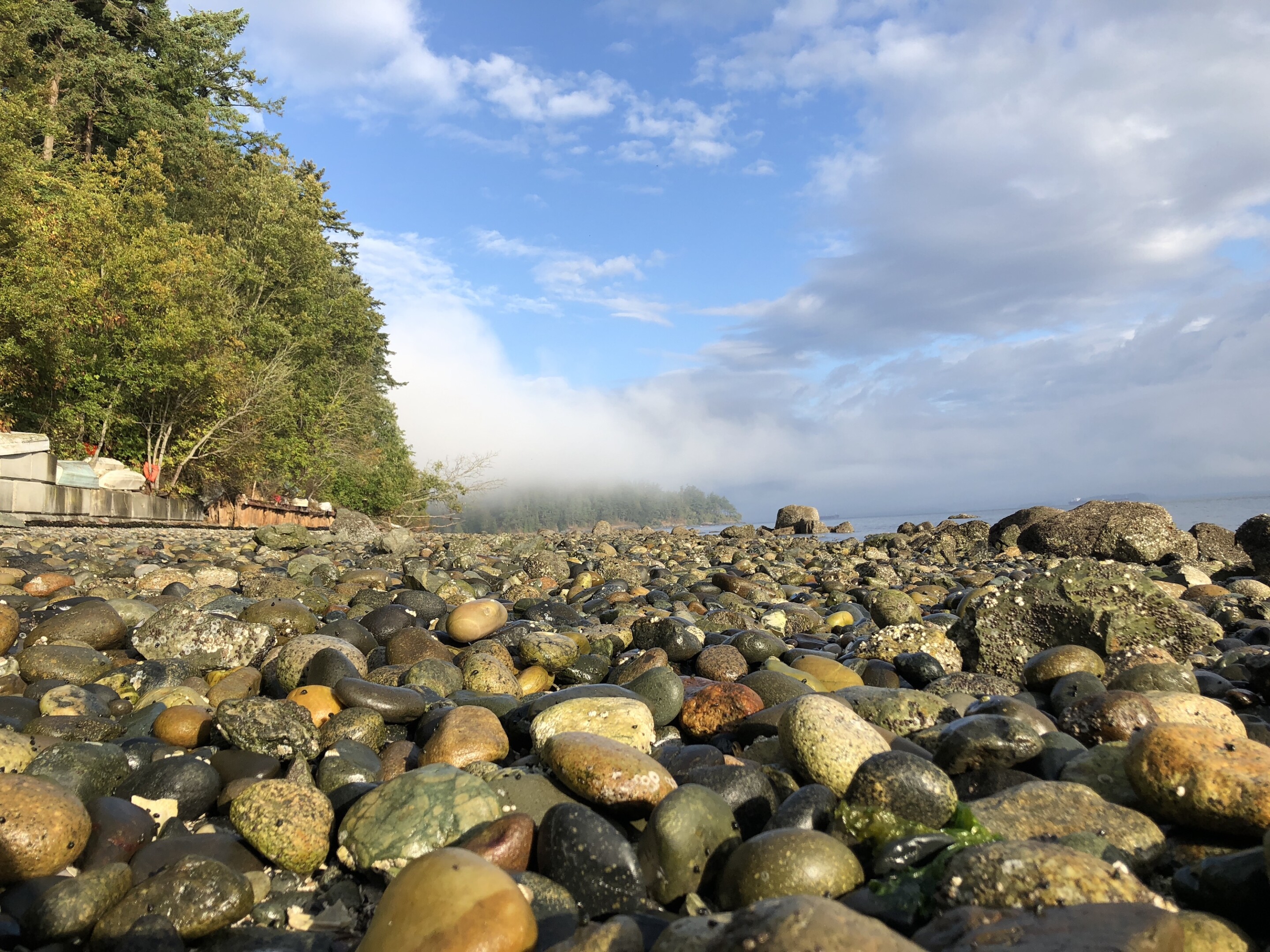 Why Samish Island, Washington, Is My Happy Place - AFAR