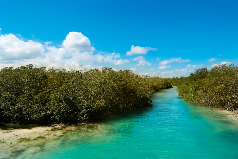 Sian Ka'an Biosphere Reserve