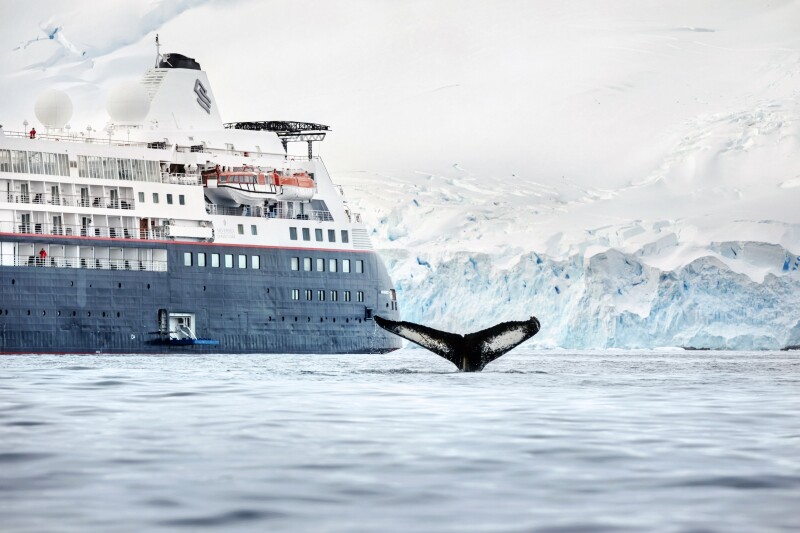 The Silver Cloud takes passengers to Antarctica in ultimate comfort.