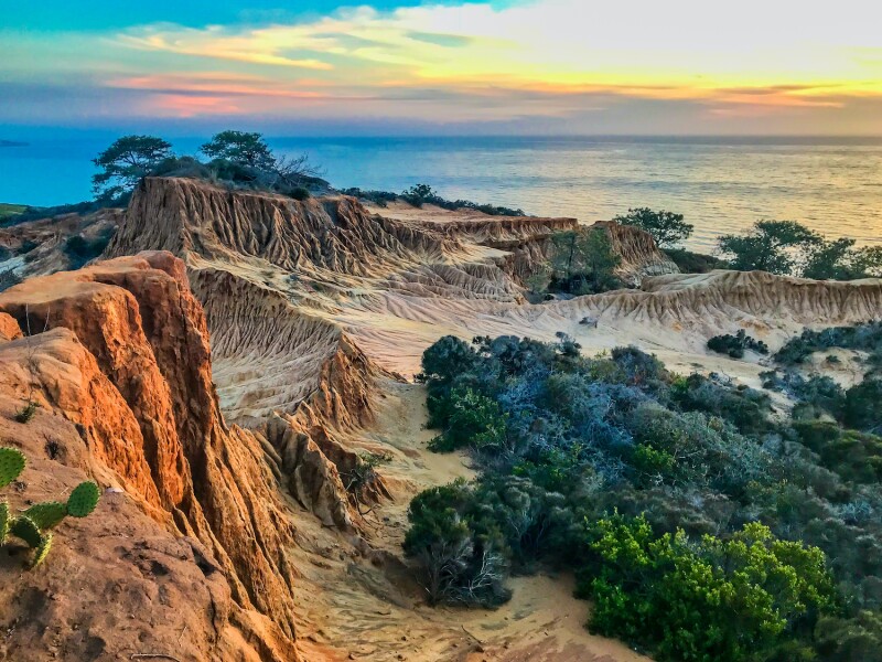 View the rare Torrey pine up close at this unique stretch of San Diego coastline.