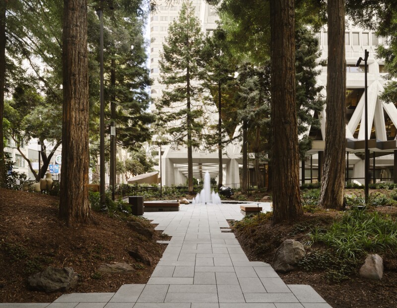 A stone-paved walkway toward the Transamerica Pyramid flanked by redwood trees and ending with a fountain at the base of the iconic San Francisco skyscraper