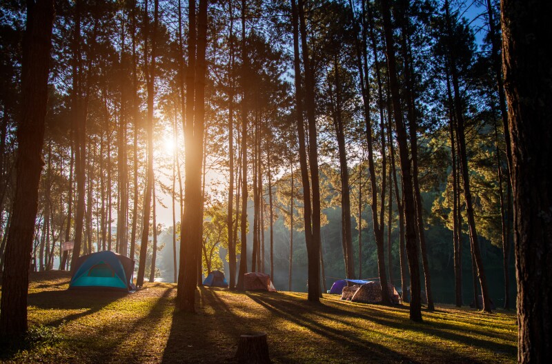 A good campsite can turn your camping trip from frustrating to fun.
