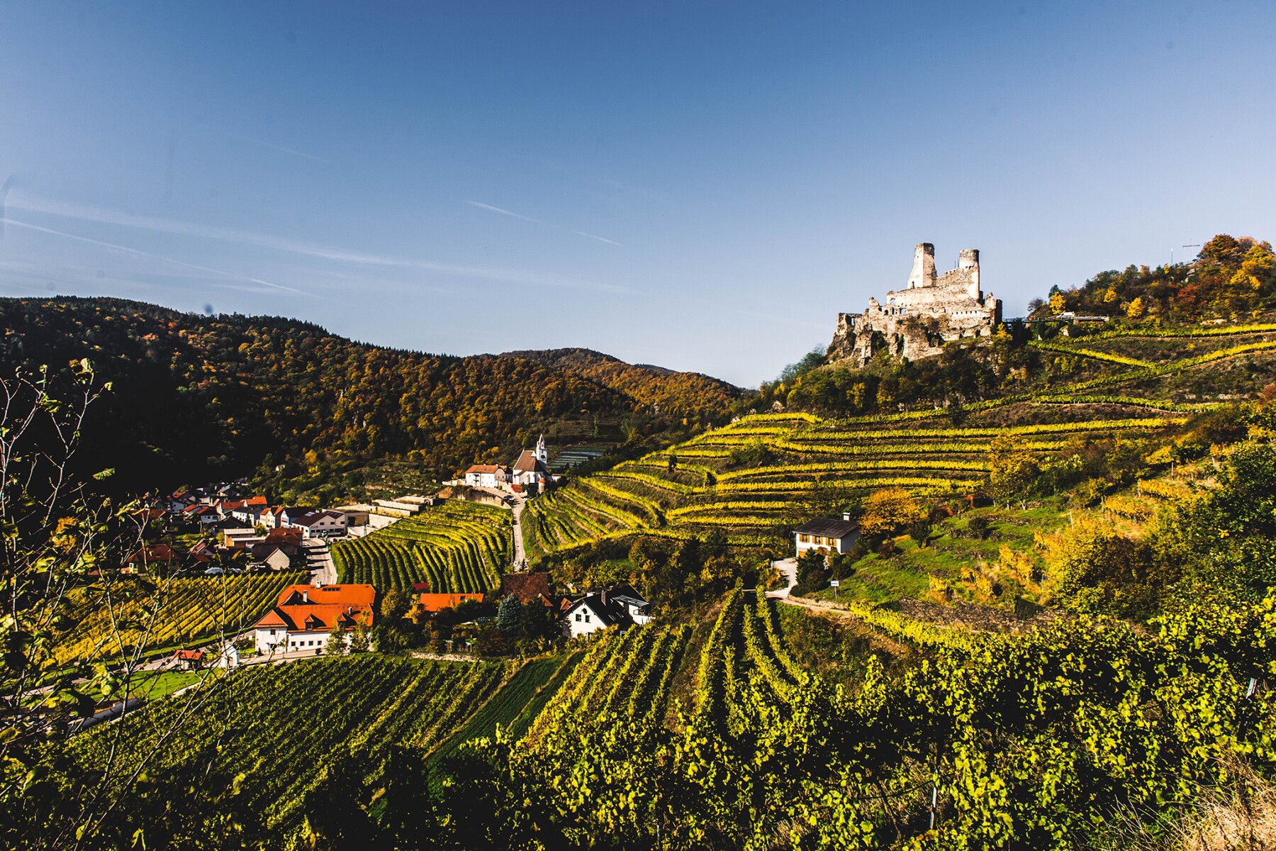 Austrian Wine Regions: The Best Wineries in the Kamptal, Kremstal, and ...