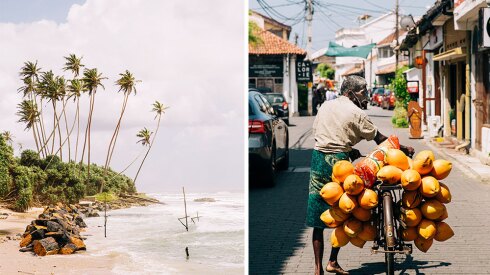 Sri Lanka Has Come Into Its Own as a Nature Lover’s Paradise