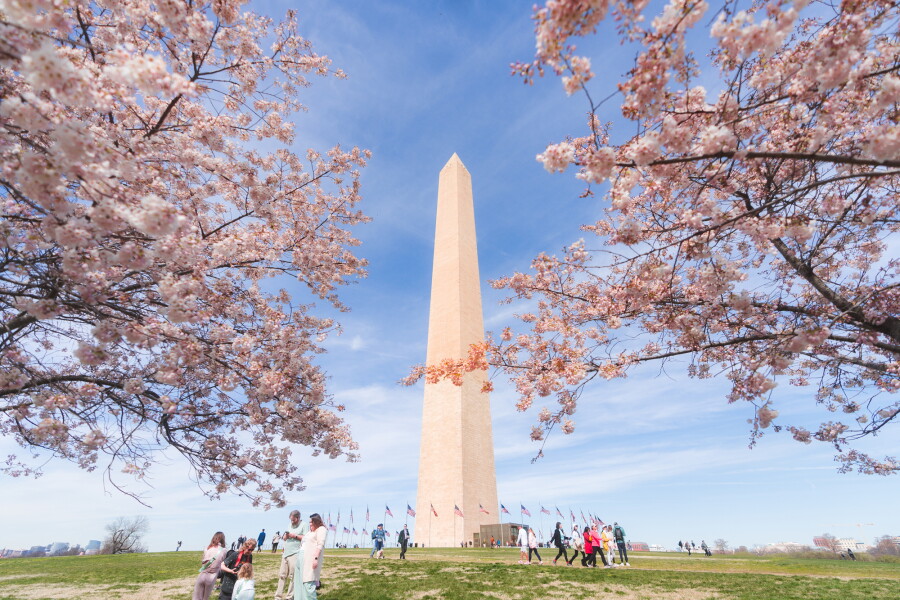 Spring Dc 3 Ways to Experience International Culture in Washington DC - AFAR