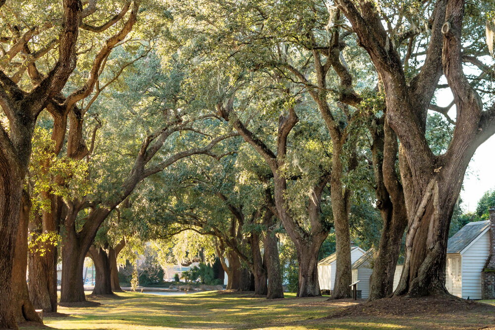 The Gullah Geechee History on South Carolina's Sea Islands - AFAR