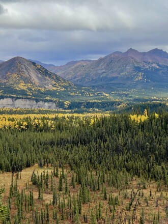 View from the Alaska Railroad