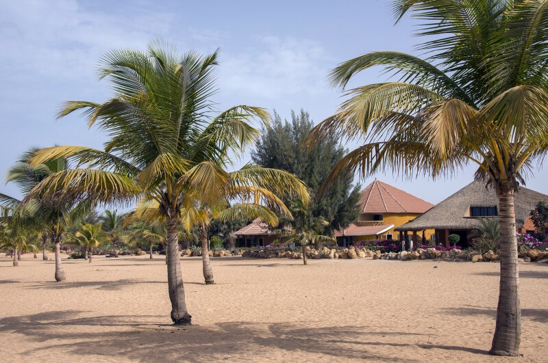 A golden-sand beach with palm trees and brown buildings with triangular roofs