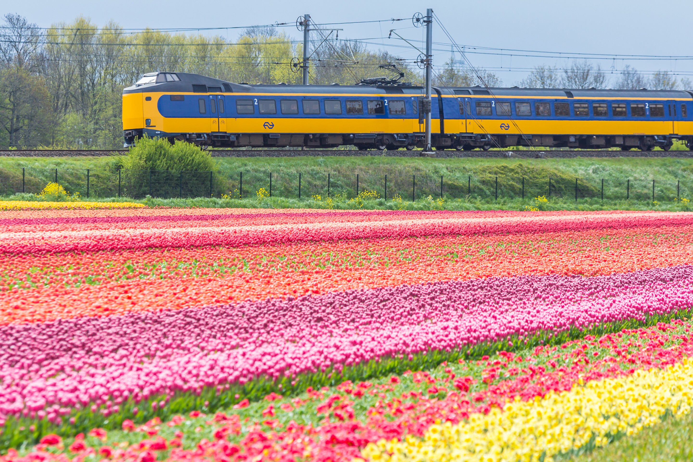 8 Beautiful Train Rides to Take in the Spring - AFAR