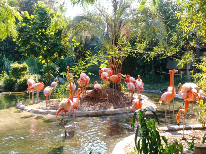 Make time during your river walks for a trip to Riverbanks Zoo.