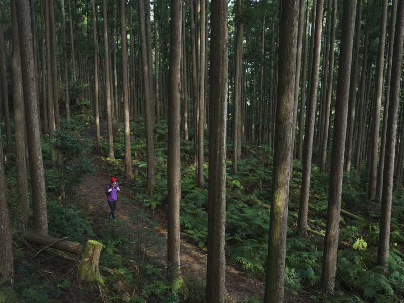 How to Hike Japan’s UNESCO World Heritage Pilgrimage Trail