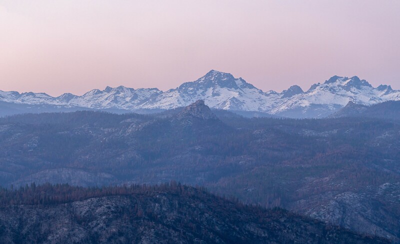 The fire may have destroyed an ecosystem, but it did not erase it entirely
