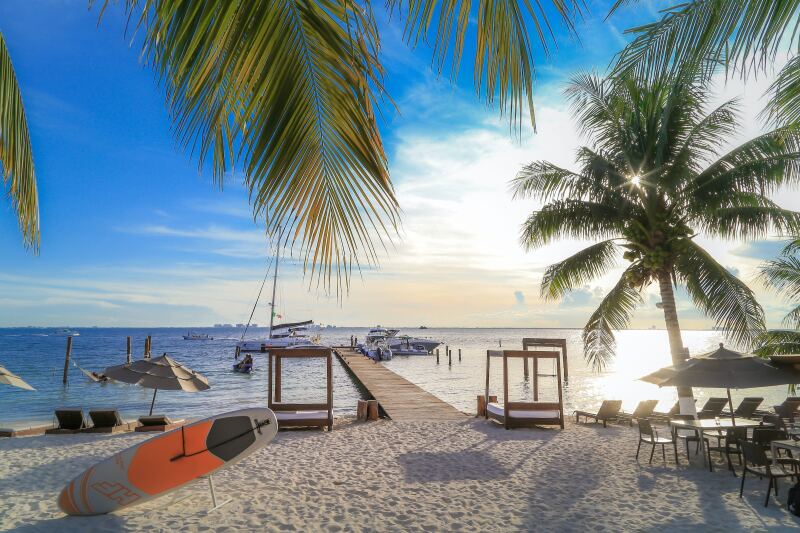 A surfboard resting near a pier in Isla Mujeres, with palm tree at right