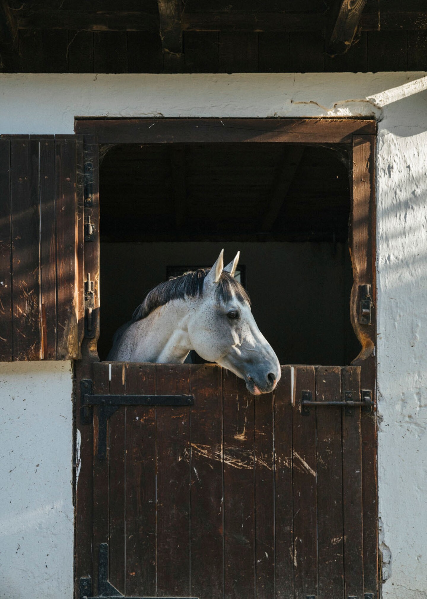 Go for a horseback ride at Salaš 137, a farm about an hour away from Belgrade.