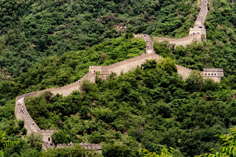 Aerial view of a long wall winding through a forest