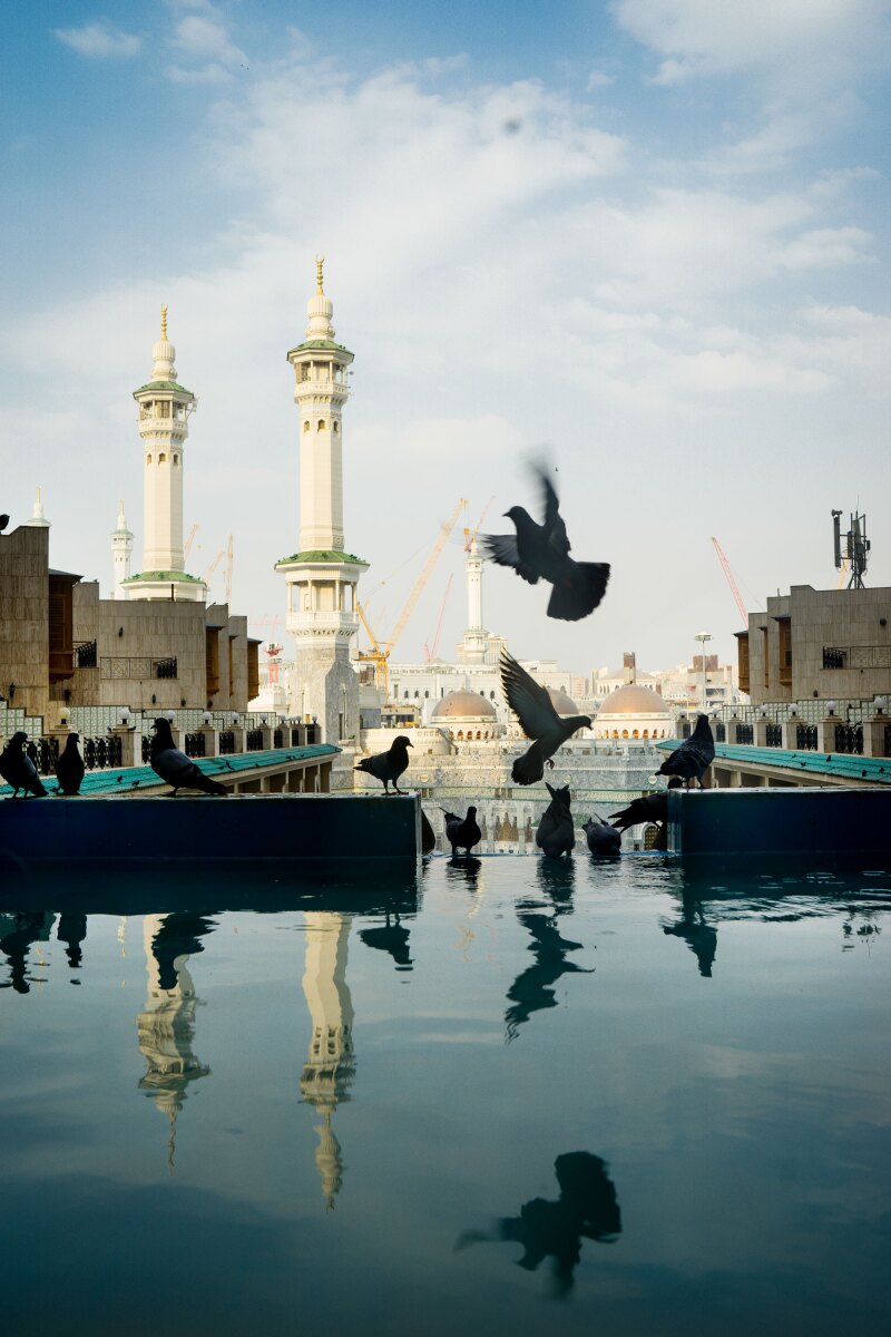 Doves fly above a pool at Makkah