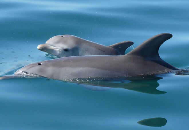 SOURCE: Bunbury Visitor Centre