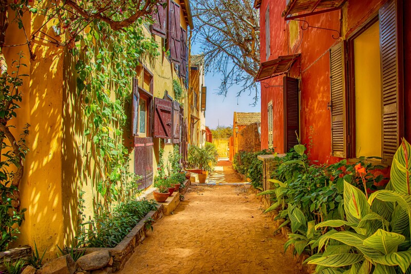 A dirt walking path cutting through two rows of colorful houses and green plants on the UNESCO World Heritage site Gorée Island off of Dakar, a former slave-trading center