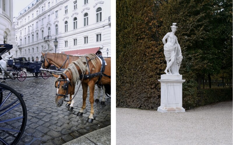 Photo at left: a horse and buggy in Vienna. Photo at right: a marble sculpture.