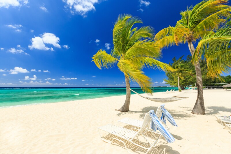 white sand, two chairs, and palm trees