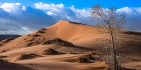Dunes of Coral Pink Sand Dunes State Park, Utah, USA.