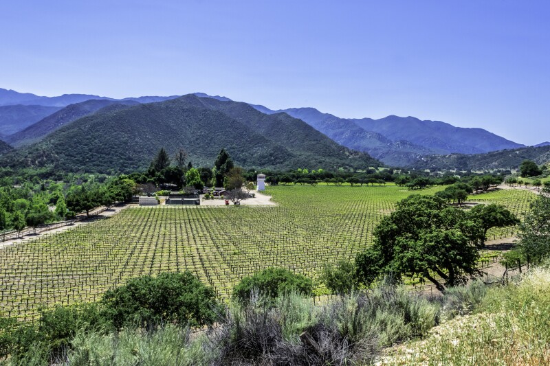 Winery,Along,Monterey,County,Road,Highway,G16,,Near,Carmel,Valley,