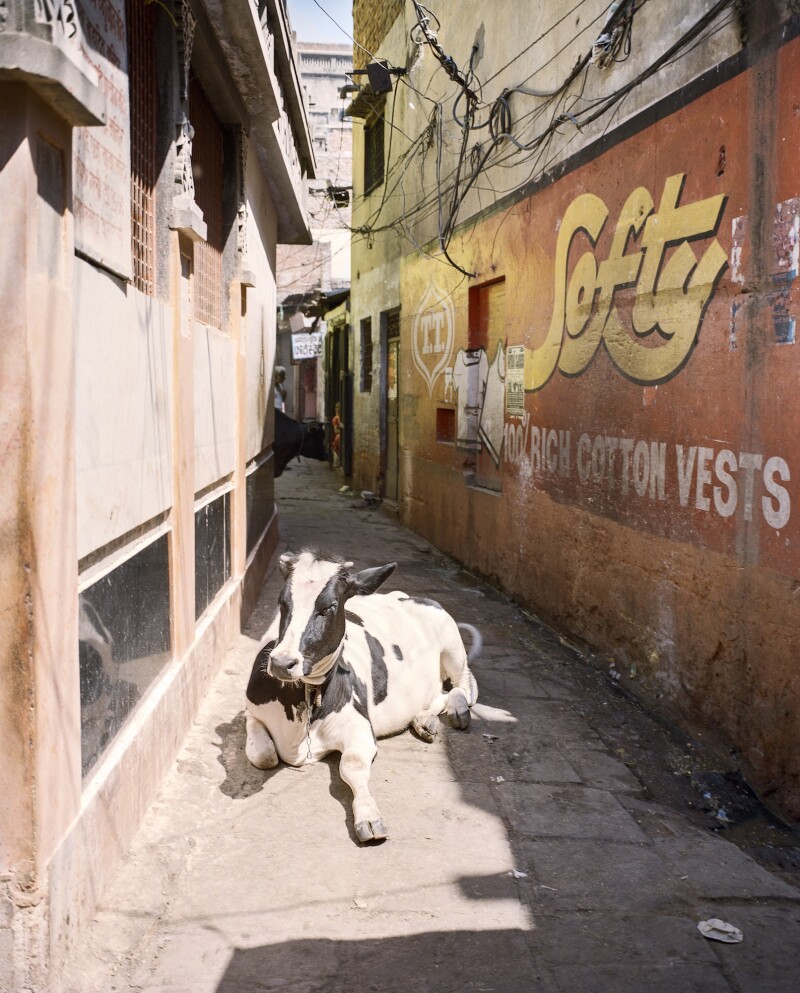 The pace of life in Varanasi slows as you wander deep into the alleys of the old city.