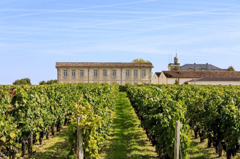 River cruises in the Bordeaux region often include visits to vineyards and chateaus.