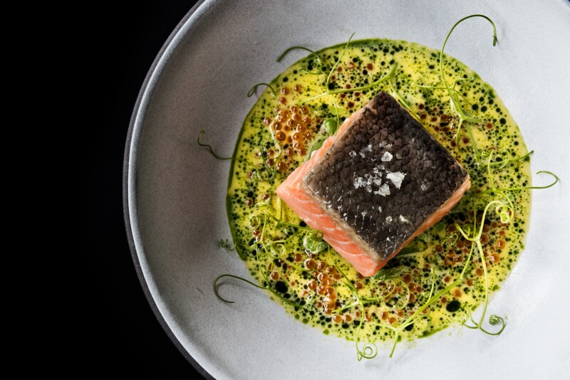 Steelhead trout entree