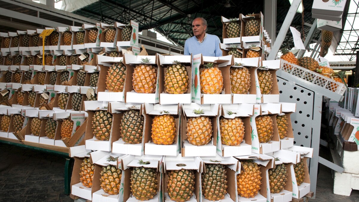 Review of Mercado da Graça (Ponta Delgada Market) | Ponta Delgada, Portugal, Europe - AFAR
