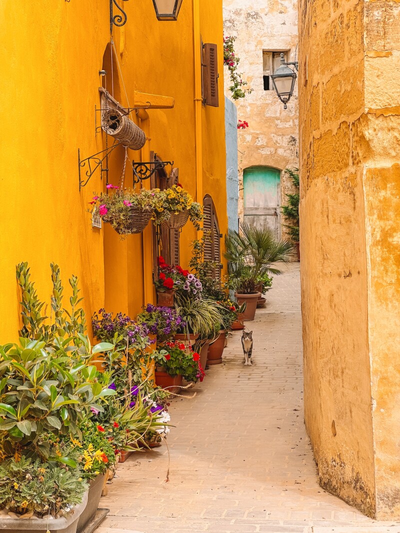 A sunlit alley in Gozo.