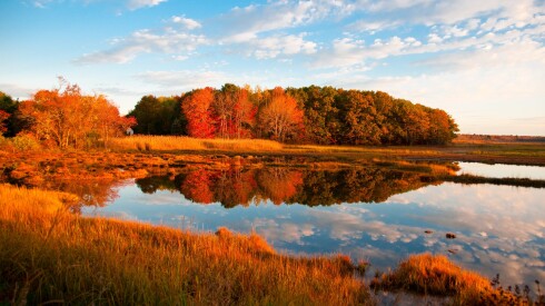 Bright red autumn trees at sunset reflecting in the water at Scarborough Marsh in Maine