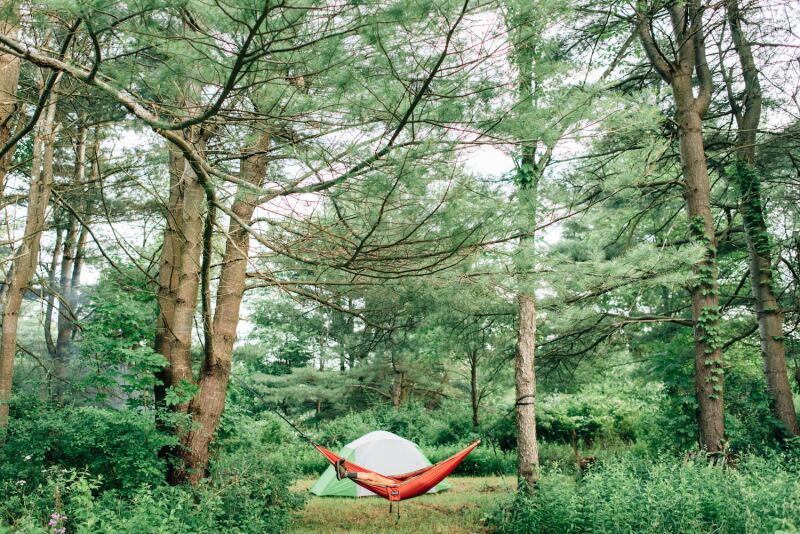 If you're looking to get off the grid, head to Hipcamp for unique camping sites like this Shitake mushroom farm in New York.
