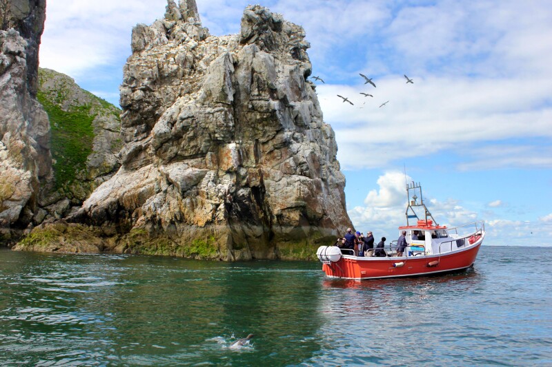 Ireland's Eye Ferries boat on the water