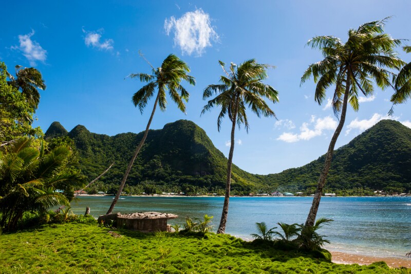 Three palm trees along narrow beach, with green hills in distance