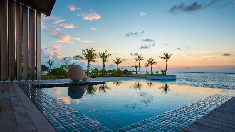 Square outdoor infinity pool with palm trees in background and facing sea at dusk