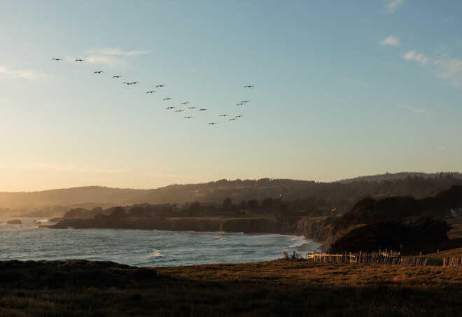 The coast in Sea Ranch
